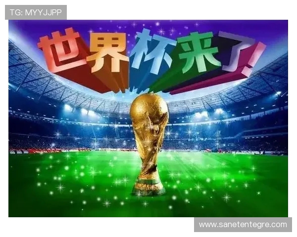 世界杯日本对阵瑞典比赛详细数据表全面解析与赛后分析报告